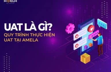 UAT la gi, Quy trình thực hiện UAT tại AMELA