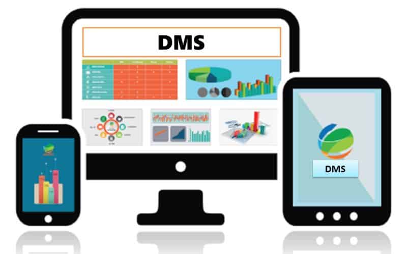 DMS gửi các các báo cáo và phân tích thông tin dữ liệu cho doanh nghiệp 